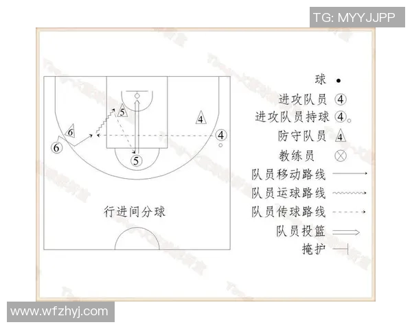 VS莱维德斯法国队的精彩对决与战术分析全景解析